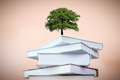 解读！美国乔治福克斯大学国际硕士优势有哪些？